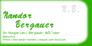 nandor bergauer business card